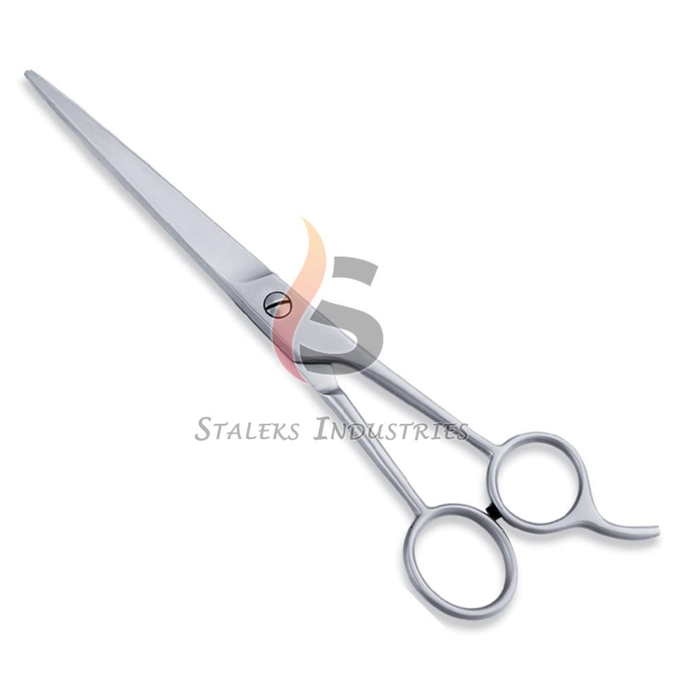 Economy Hair Scissors
