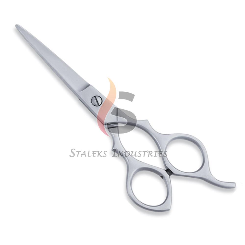 Economy Hair Scissors